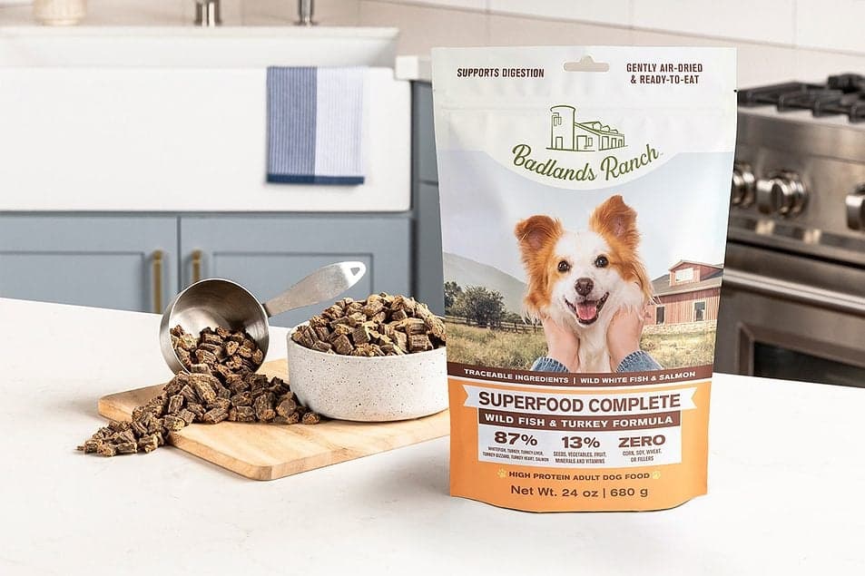 Taste and Nutrition: Why Dogs Love Dr Martys Dog Food