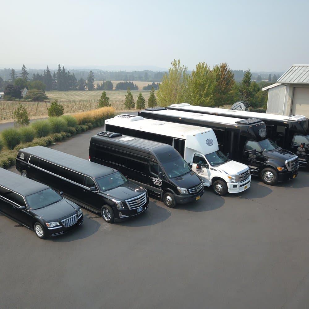 Experience Comfort with Limo Service Vancouver to Whistler
