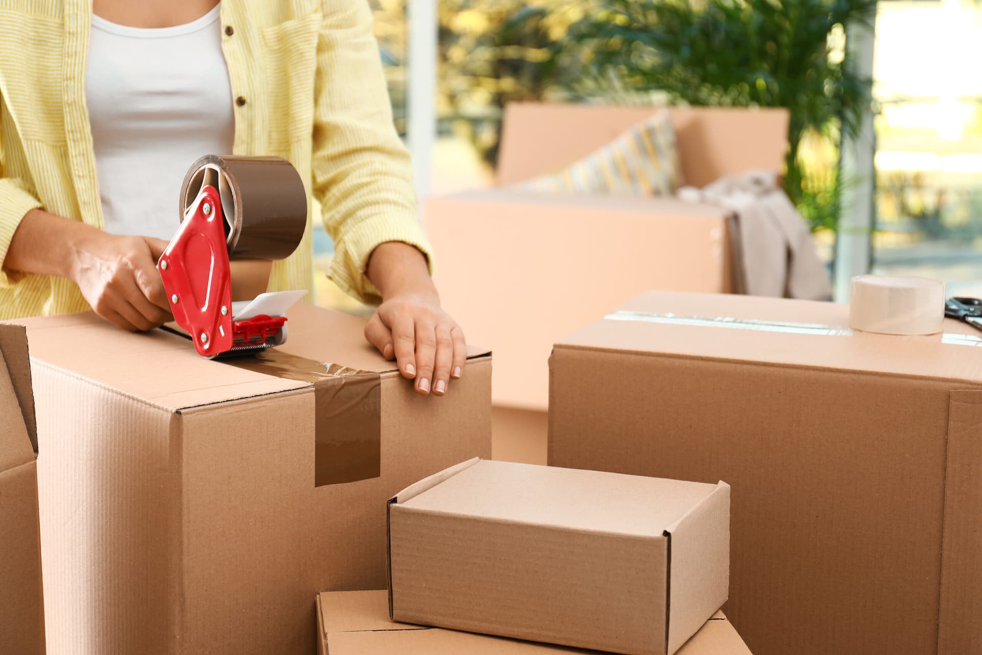 Local Delivery Service Phoenix AZ – Reliable Phoenix Delivery by DTS Logistics L.L.C.