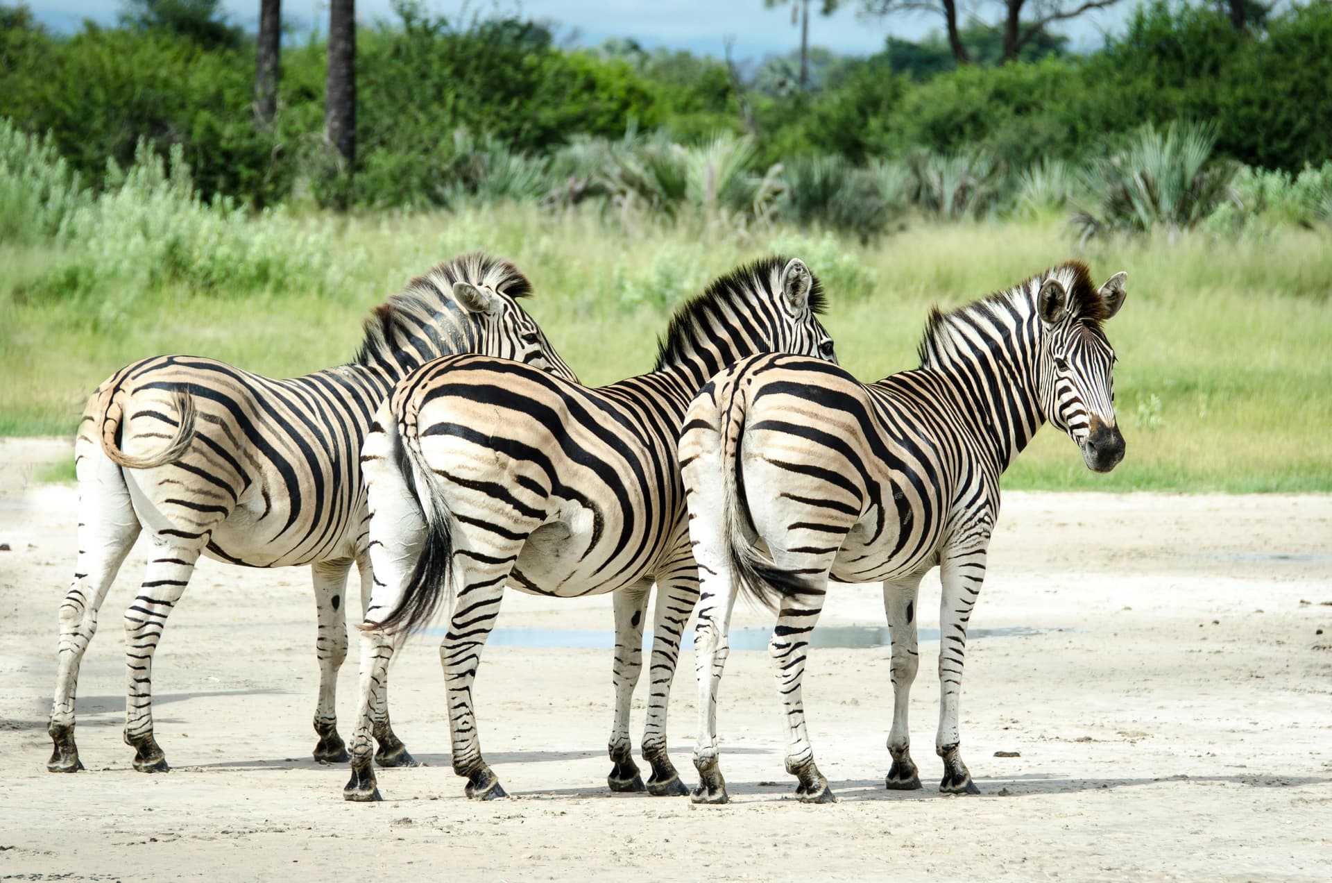 Kenya Safari Tours: Photography, Wildlife &amp; Adventure