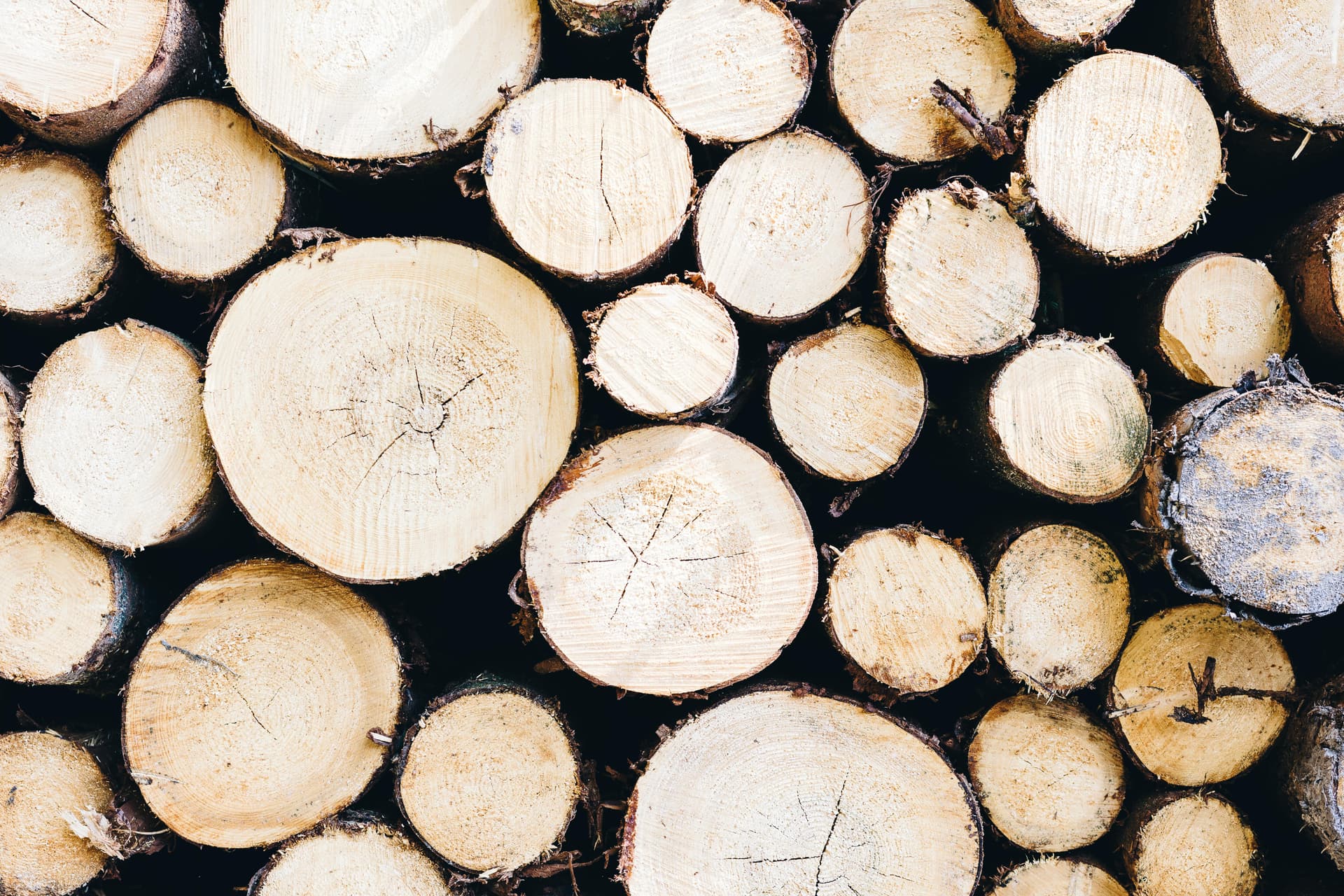 Bulk Wood Briquette for Residential and Commercial Use