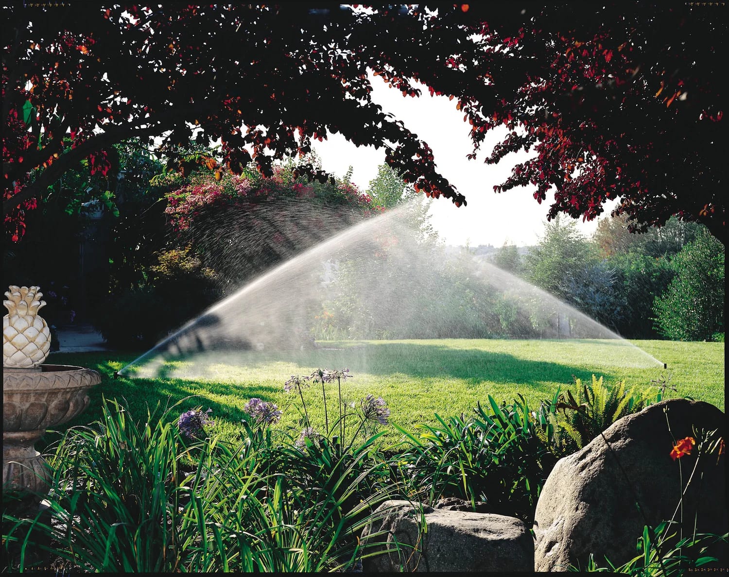 Comprehensive Expert Drainage Services in Springtown , TX for Every Lawn
