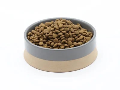 7 Nacho Cat Food Reviews: Nutrition Facts Every Cat Parent Should Know