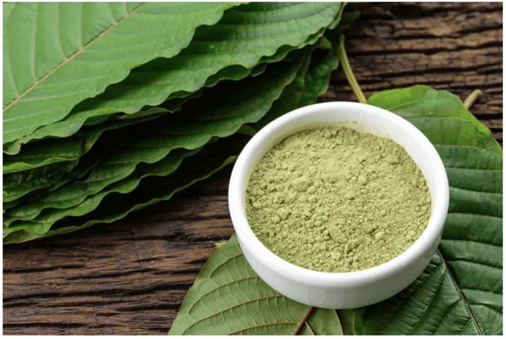 Kratom Thailand: Top Strains and Their Benefits