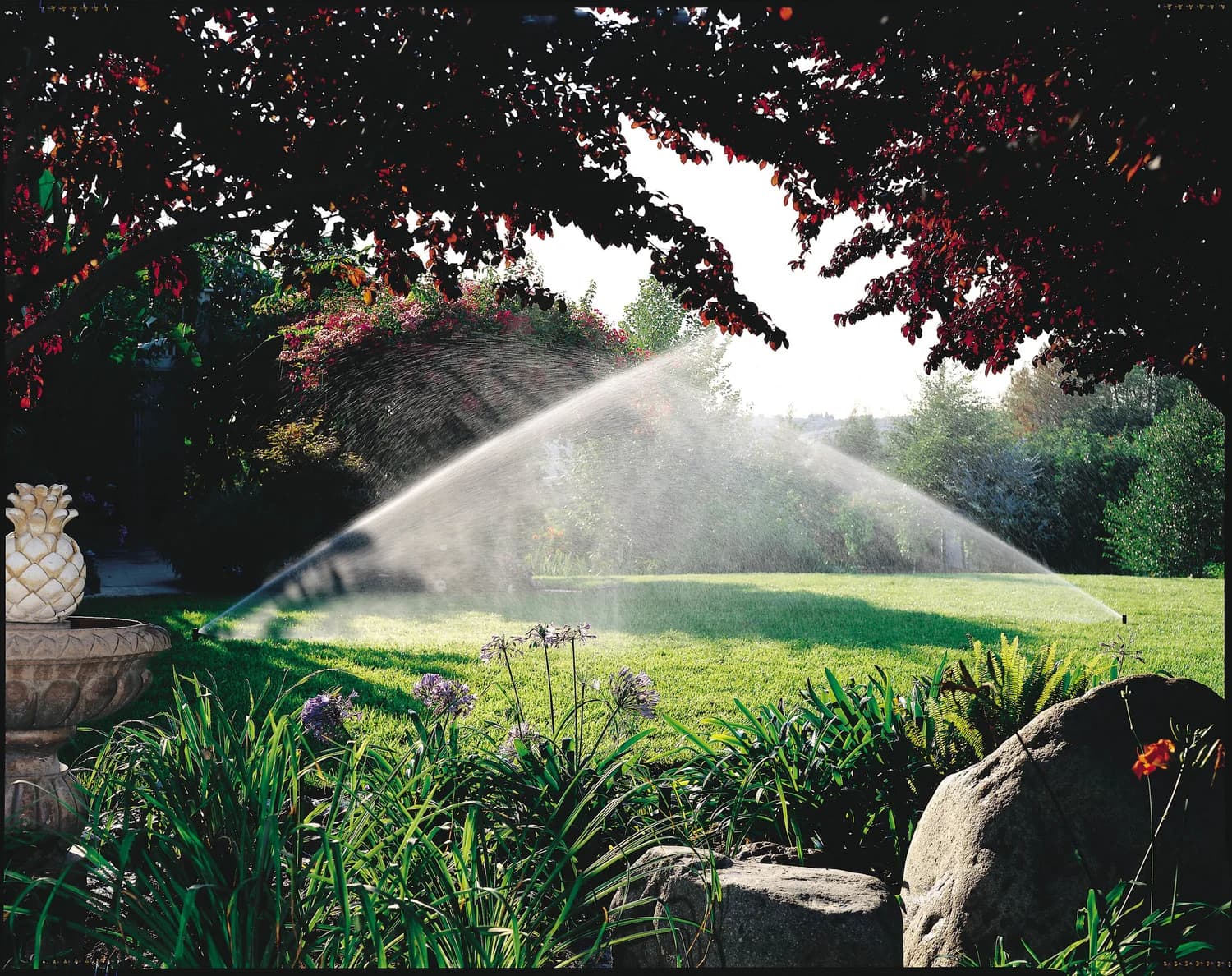 Comprehensive Expert Drainage Services in Springtown , TX for Every Lawn