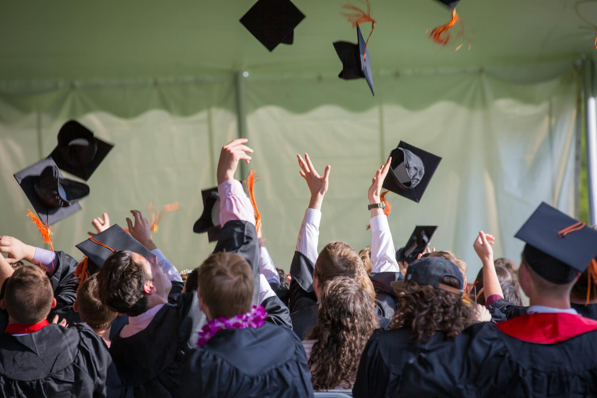 Why People Choose to buy a fake diploma Online