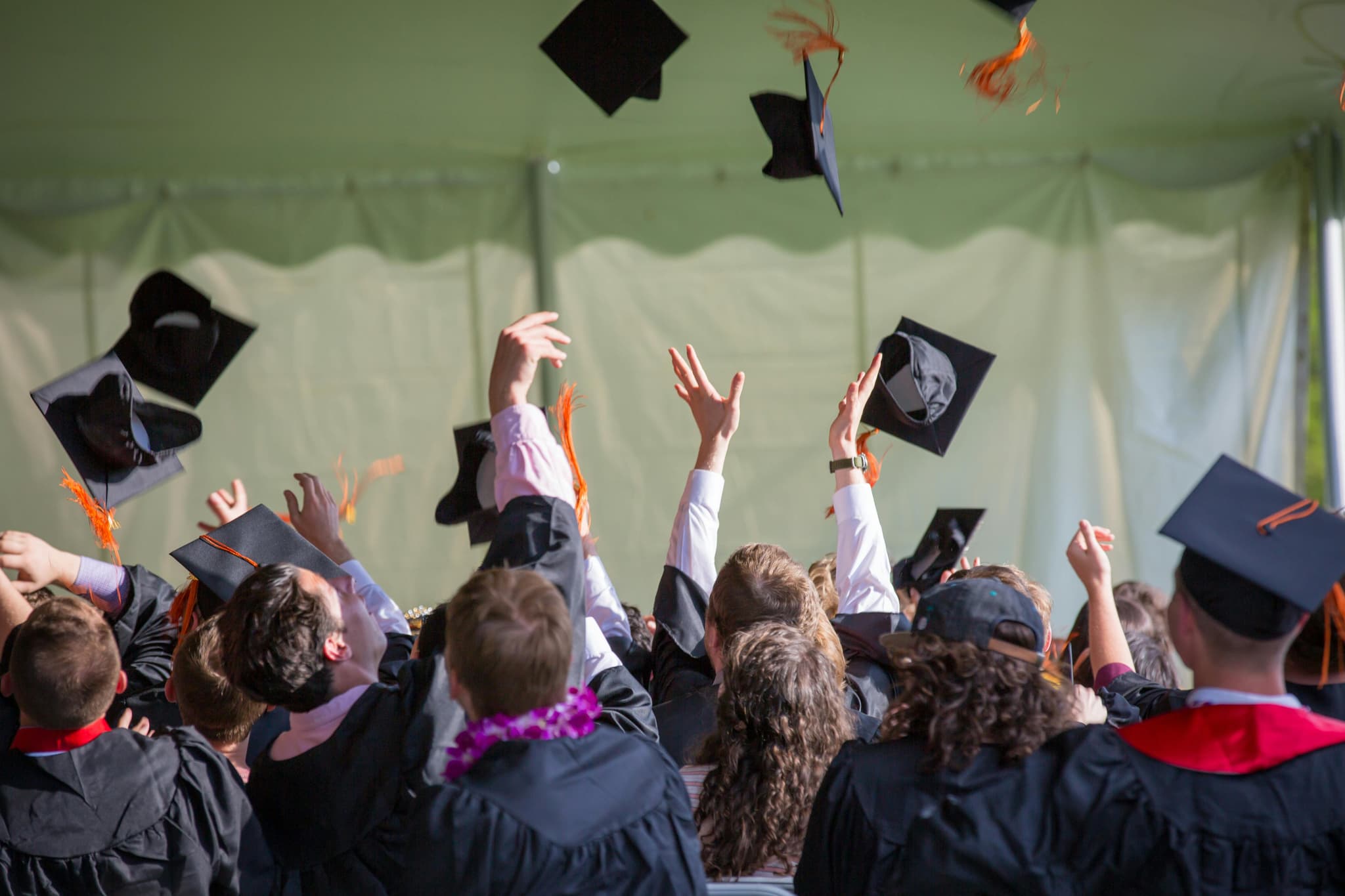 Why People Choose to buy a fake diploma Online
