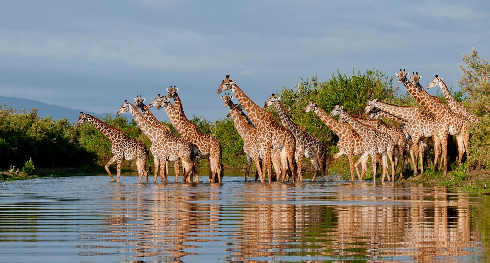 Your Guide to Affordable Nyerere National Park Tanzania Safari Deals