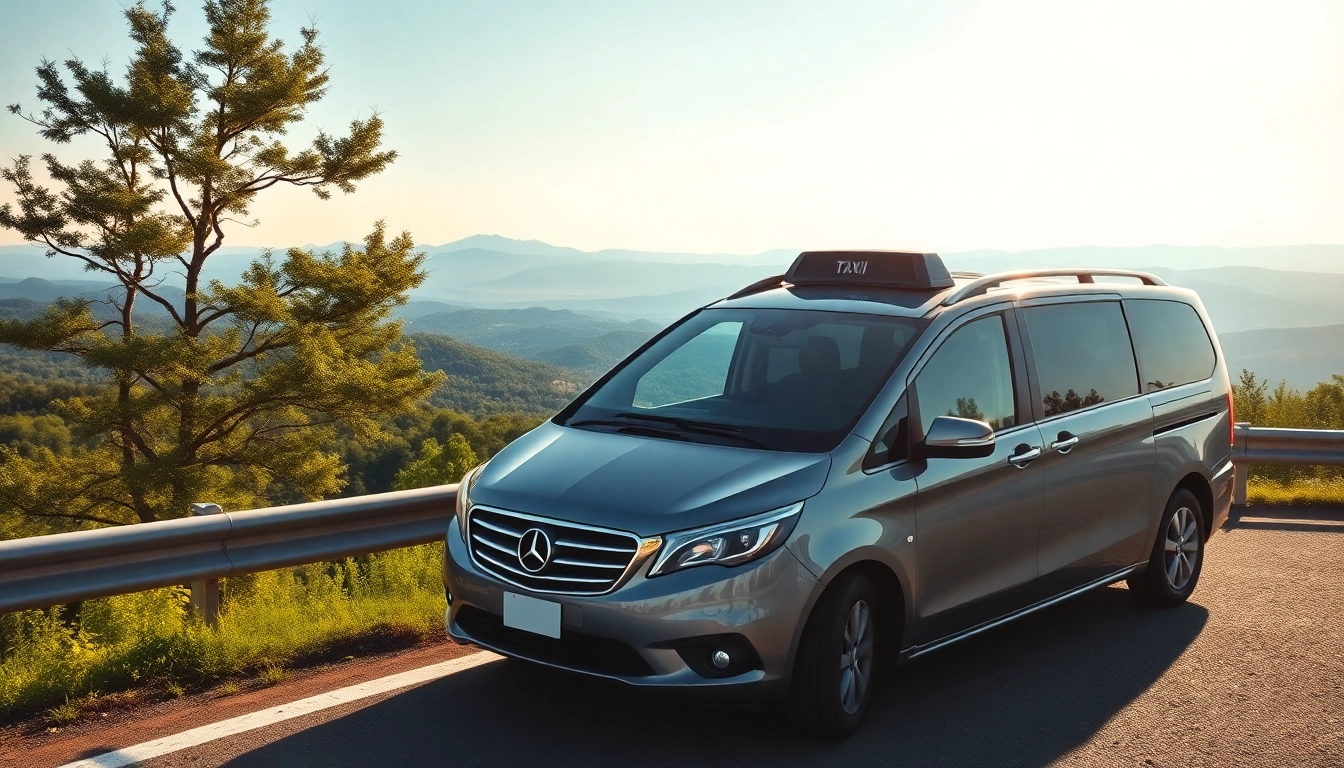 Experience LONG DISTANCE TAXI TRANSFERS with a modern vehicle at a scenic overlook, highlighting comfort.