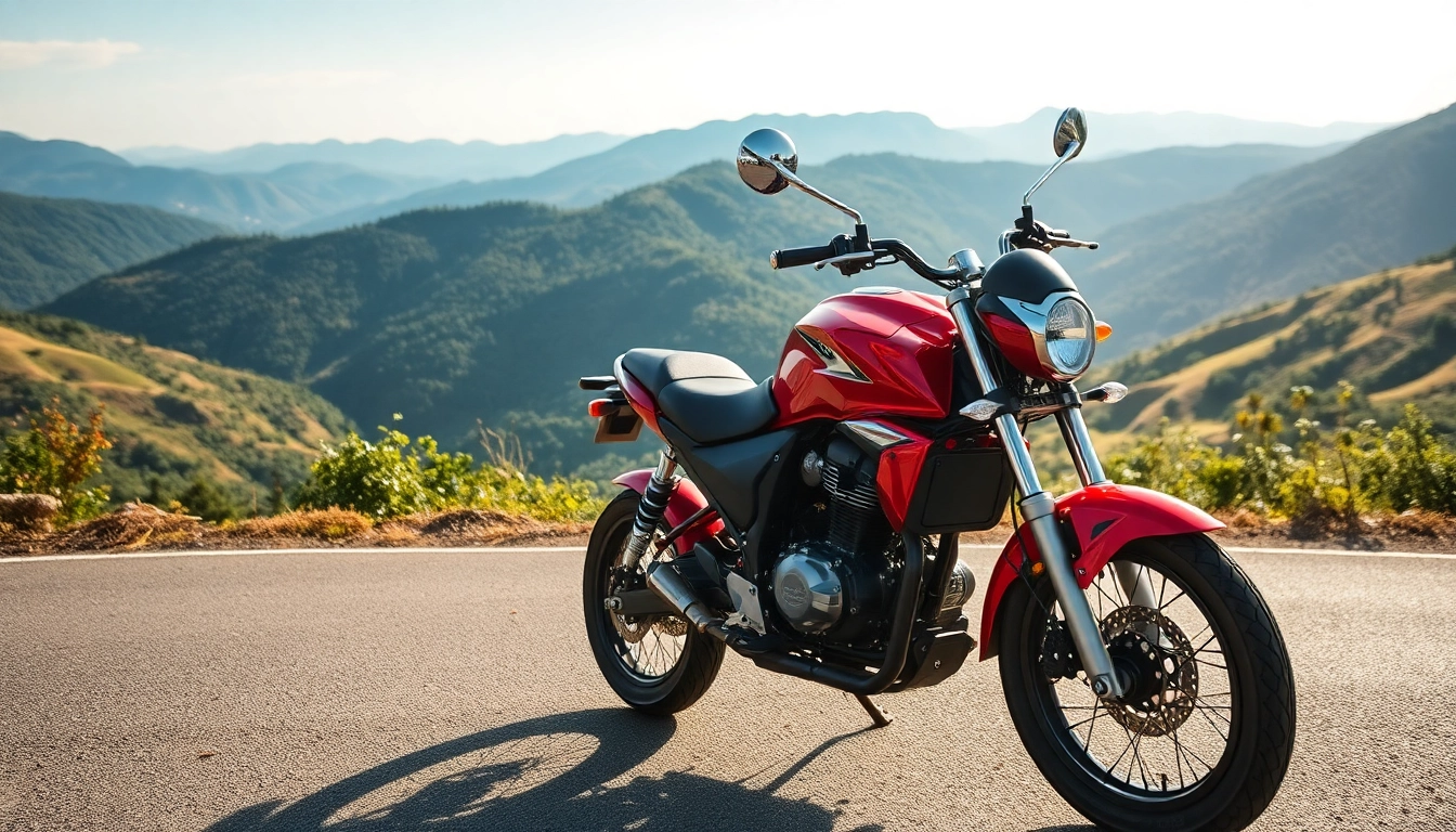 Admire this 125cc and 250cc beginner motorcycles, showcasing sleek designs against scenic mountain views.