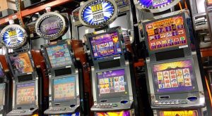 WhatsApp Image 2026-01-01 at 2.58.12 PM (44)